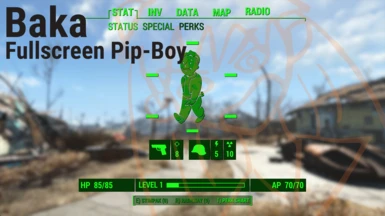 Baka Fullscreen Pip-Boy and Quick-Boy